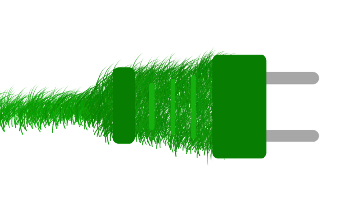 un filo elettrico fatto di erba con una spina verde