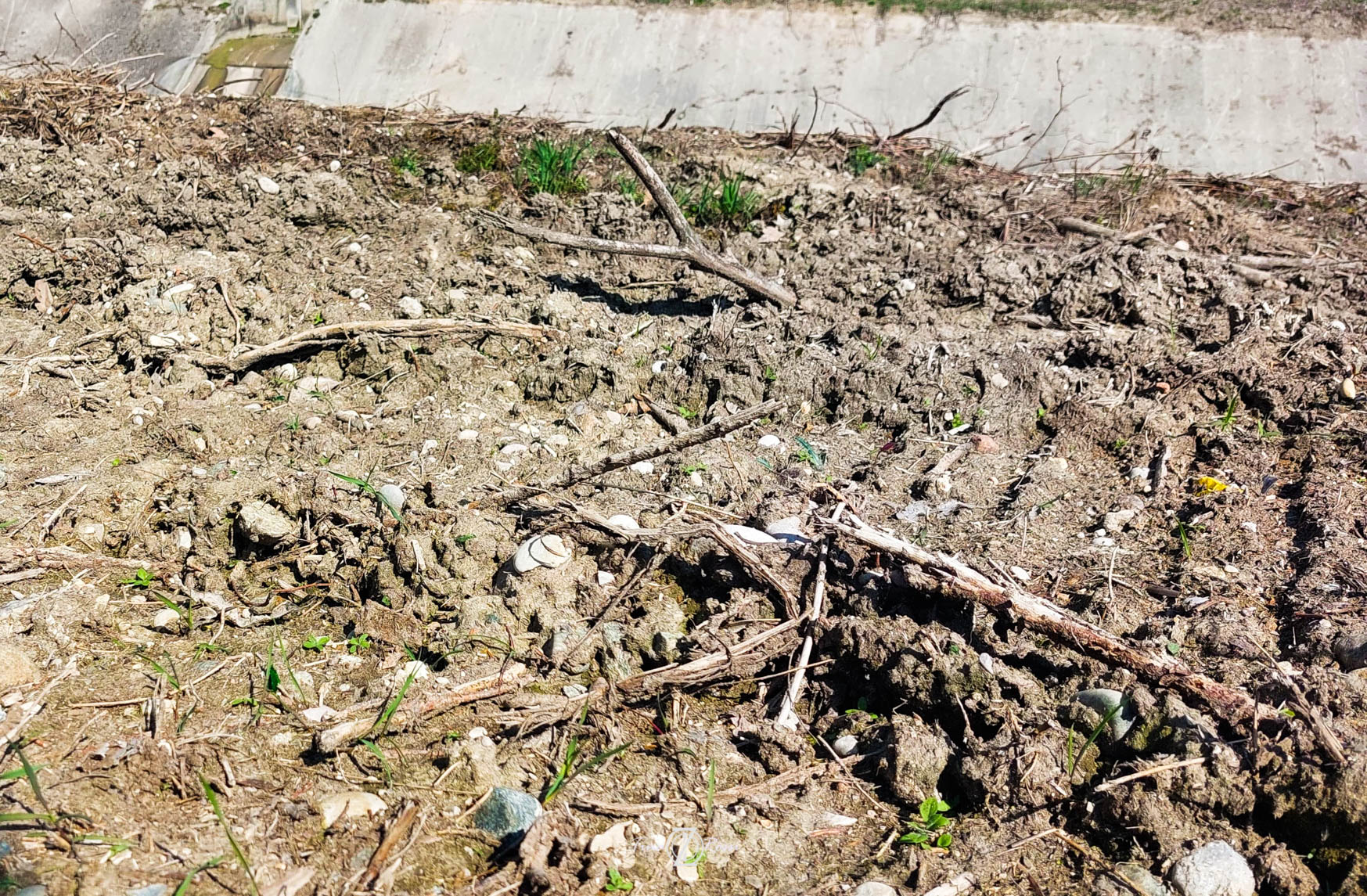 vita e siccità e desertificazione in Pianura Padana, oltre che al Sud; uno stress idrico nazionale che non ha precedenti. 