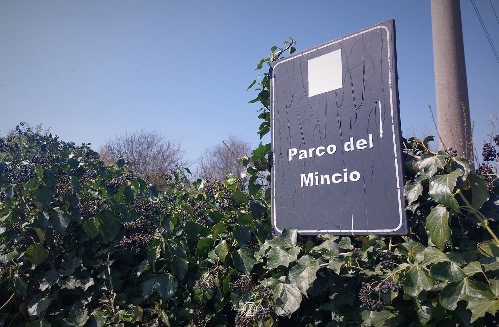 Il cartello "parco del Mincio" in mezzo a dei rovi secchi