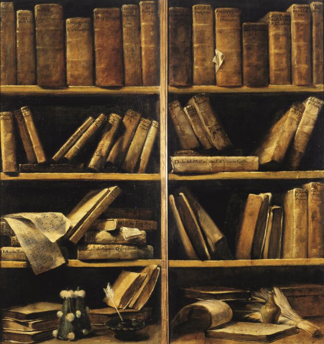 Wunderkammer - olio su tela rappresentante scaffali antichi pieni di libri antichi