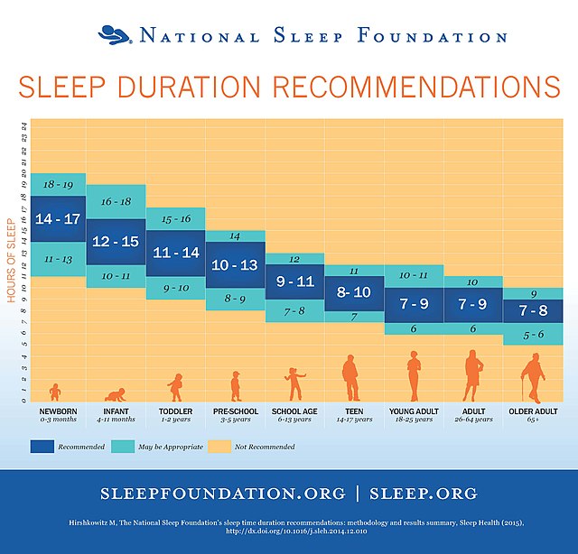 tabella delle ore di sonno in media necessarie dall'infanzia alla senilità