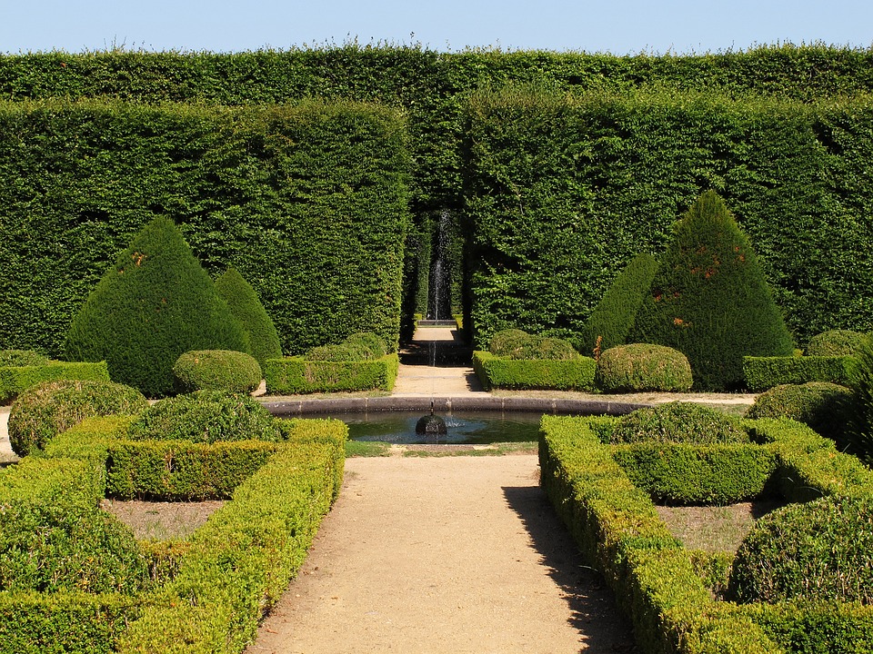 il bosso nell'arte topiaria della composizione dei giardini