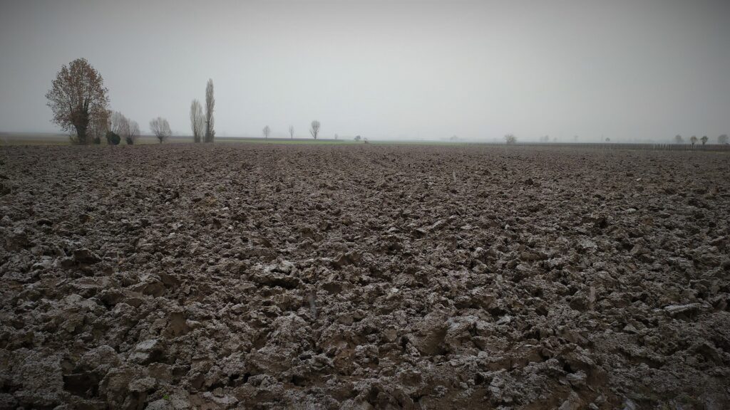 siccità - un terreno arido