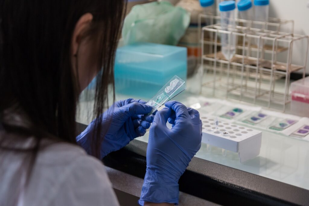 clean meat - un tecnico di laboratorio vestito di bianco, di schiena,. seduto ad una sacrivania con tante provette da laboratorio