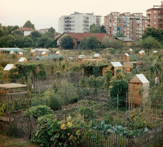 immagine degli orti generali di Torino