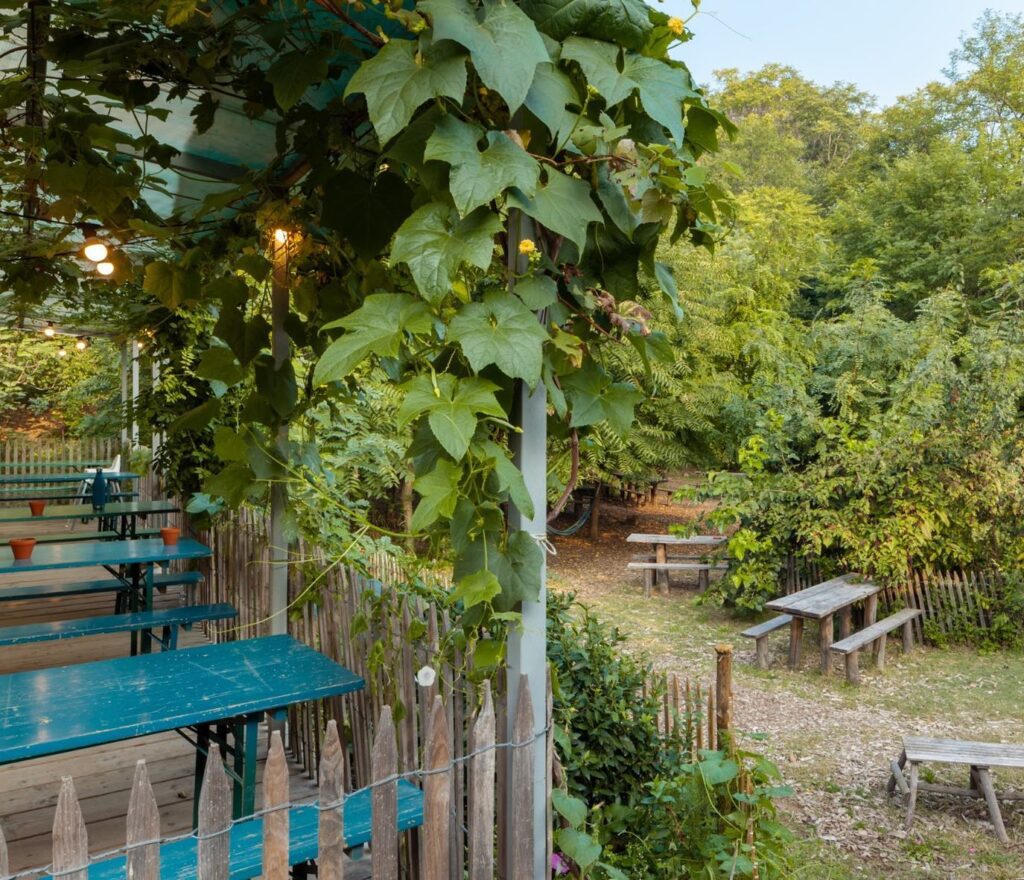 una palizzata verde con un pergolato e una stradina sterrata