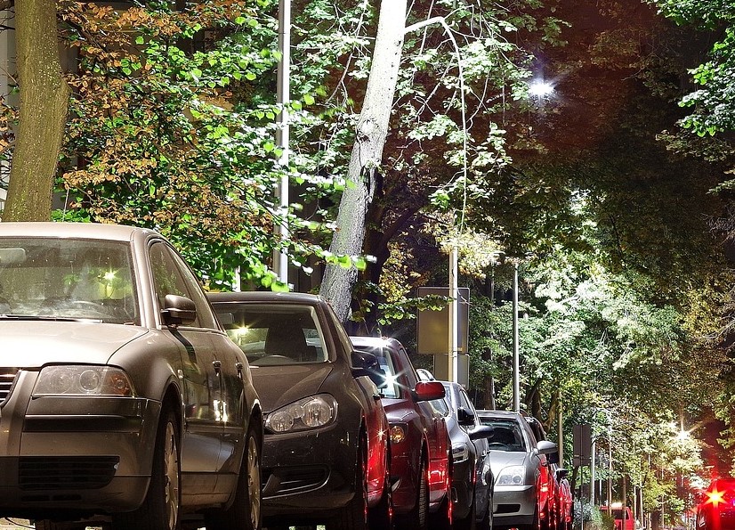 alberi ai bordi di una strada di città dove sono parcheggiate in fila tante auto