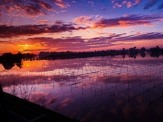 tramonto su una parte della terra con boschi e acque