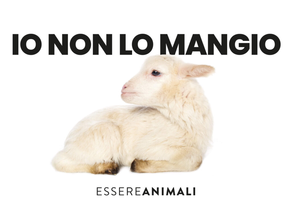 animali - pasqua - un agnello e la scritta io non lo mangio