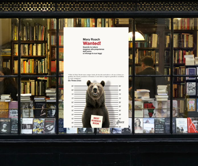 copertina del libro wanted in una vetrina di libreria con orso iin foro e scritta wanted