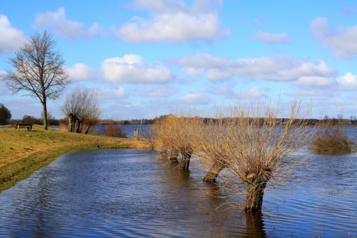 alluvione in Romagna frutteti