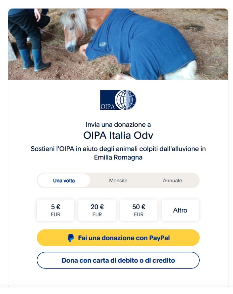alluvione in Romagna - la pagina dove fare una donazione