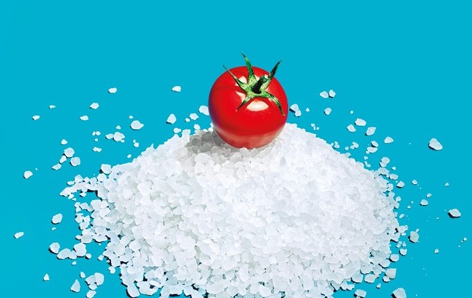 Tuttofood - su sfondo azzurro un pomodoro è appoggiato su una piramide di sale grosso