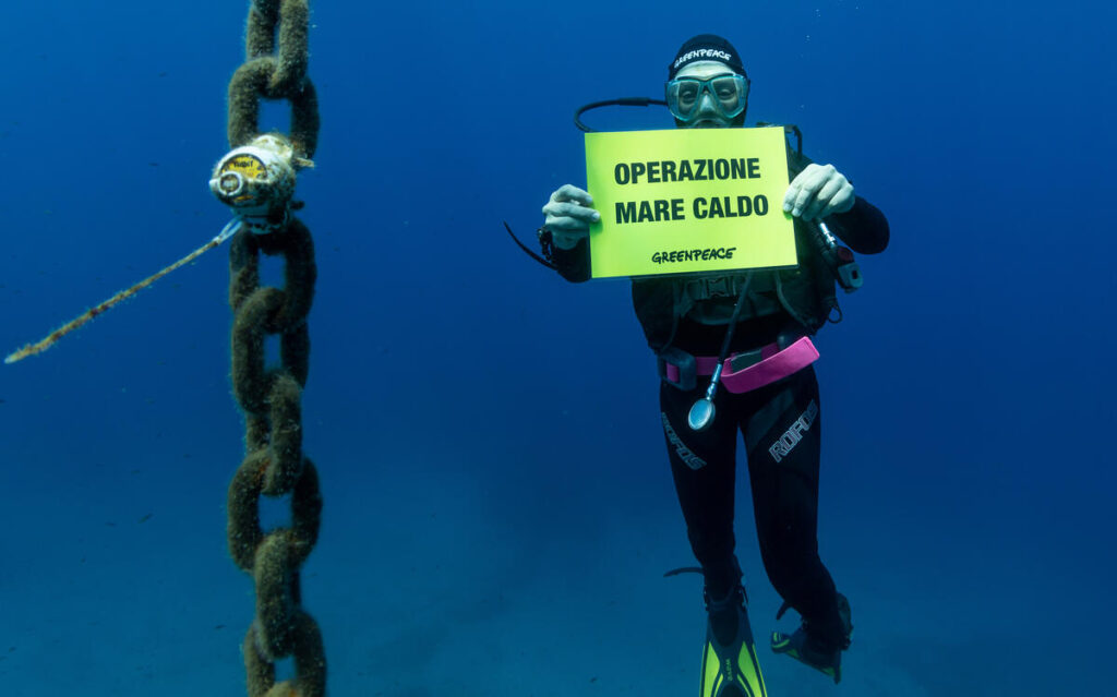 Mare caldo: un sub sott'acqua tiene in mano un cartello, indossa una tuta da sub, un boccaglio e maschera ed è vicino ad una catena incrostata dalle alghe