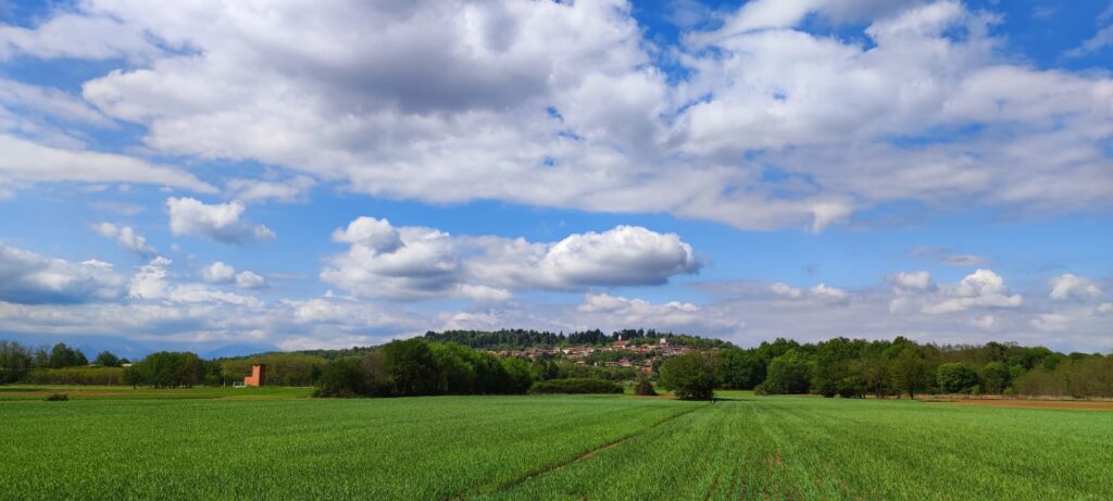 la collina di Orio Canavese