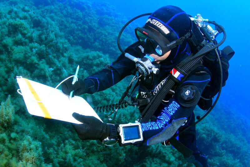 Capo Milazzo - un sub appoggiato sul fondale marina prende appunti su un blocco di carta con una penna