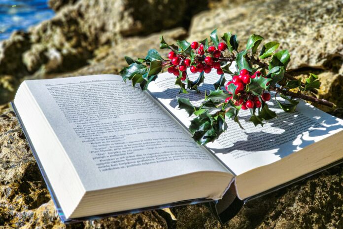 libro aperto su una pietra con appoggiato sopra un ramo di agrifoglio