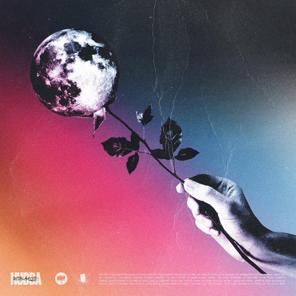 nudda - la copertina del nuovo singolo che raffigura una mano che sostiene una rosa stilizzata