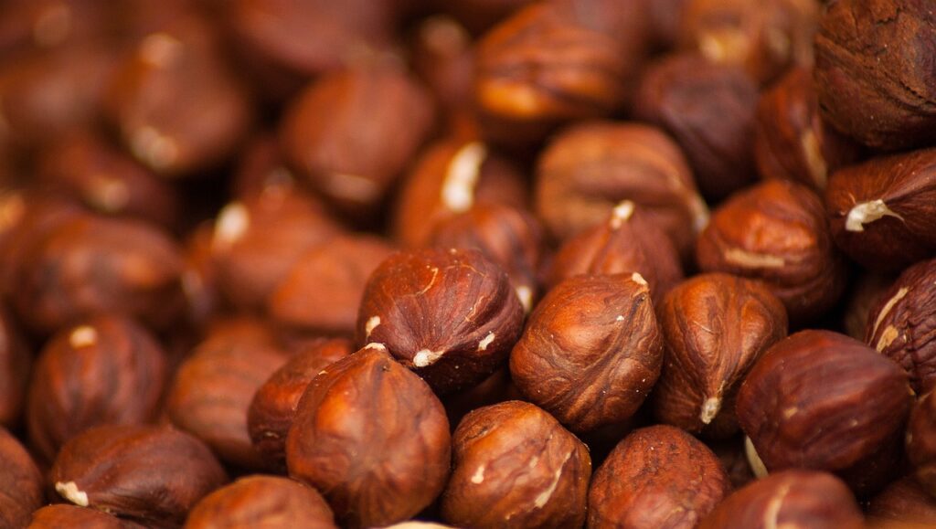 nocciole tostate primo piano