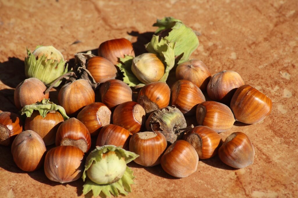 nocciole mature dentro gusci appoggiati su un tavolo marrone