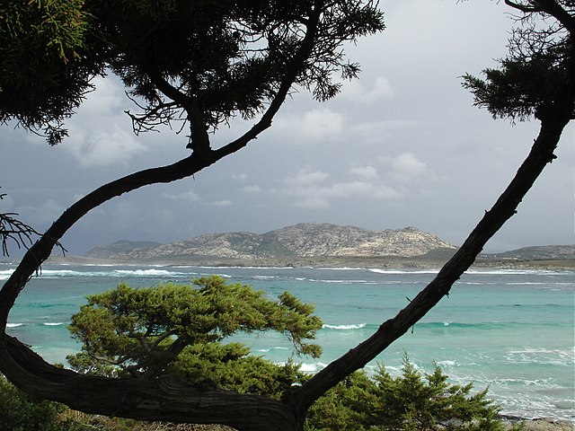 foto isola asinara tempo grigionuvole basse licenza CC