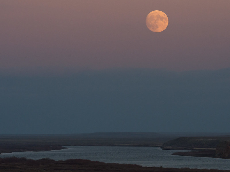 Il sorgere della luna sul fiume Syr Darya a Baikonur, in Kazakistan, il 13 novembre 2016. Foto: NASA/Bill Ingalls