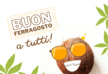 ferragosto - una noce di coco con gli occhiali da sole e un sorriso augura buon ferragosto a tutti. Vicino ci sono due palme