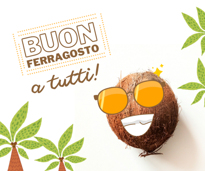 ferragosto - una noce di coco con gli occhiali da sole e un sorriso augura buon ferragosto a tutti. Vicino ci sono due palme