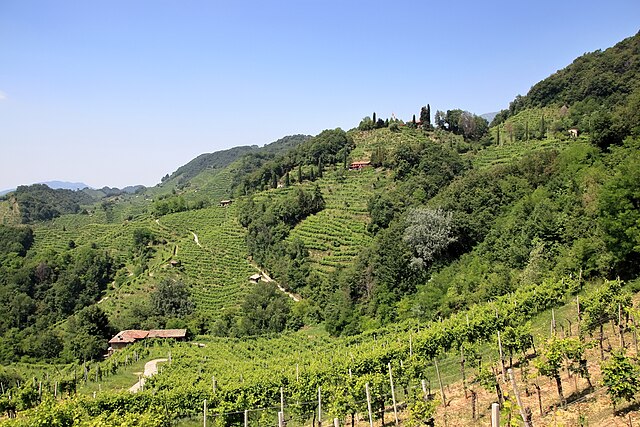 colline del prosecco vista tra Collagu e conegliano licenza CC