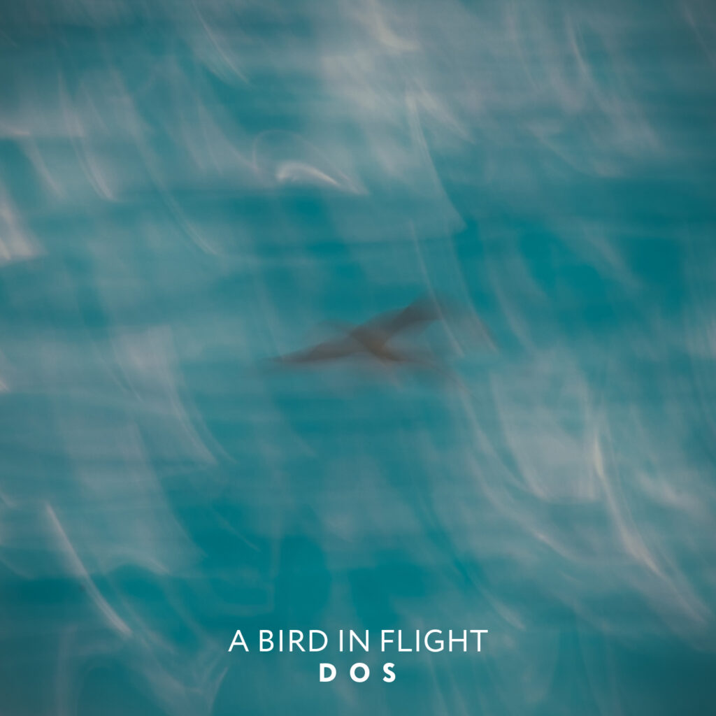 dos duo onirico sonoro - la copertina del nuovo singolo che raffigura un uccello in volo