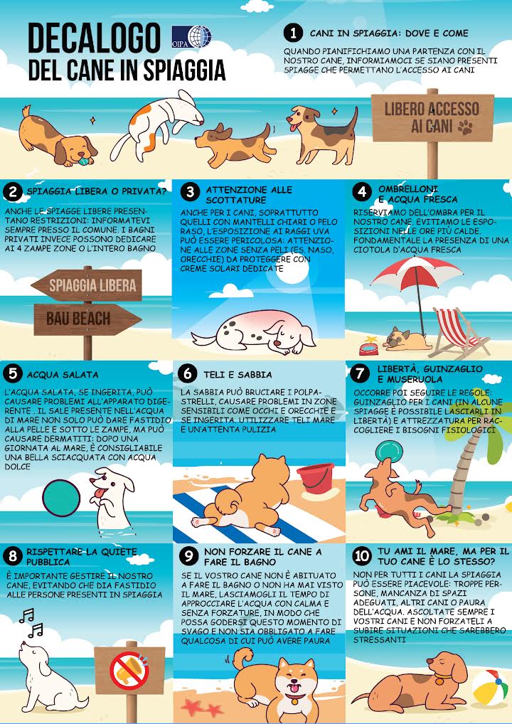 Cani in spiagia - locandina con i consigli utili