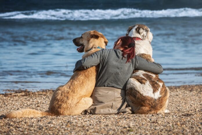 cani in spiaggia, di schiena, con in mezzo a loro due una ragazza che li abbraccia davanti al mare