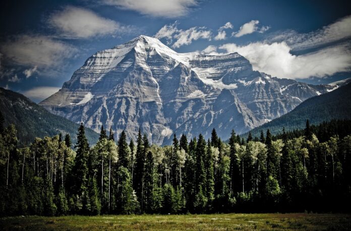 una montagna alta con la punta ricoperta da un ghiacciaio e a valle prati e boschi di pini