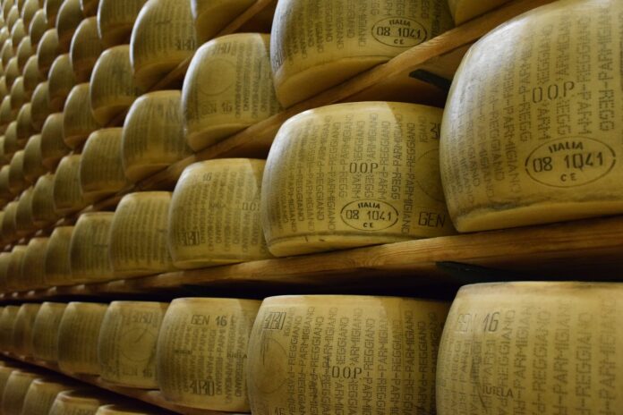 parmigiano reggiano dop - tante forme disposte su scaffali di legno