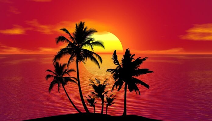 Estate sta finendo - nella foto un aesaggio di mare con al centro la sagoma di un isolotto con le palme, tutto di colore nero, dietro, il mare illuminato completamente di rosso dal sole gialloche scende al tramonto