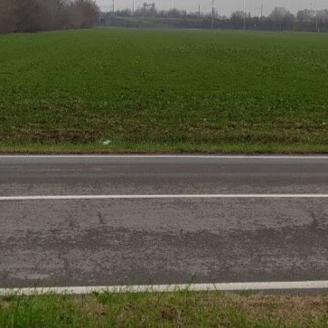 emilia nascosta - la copertina del singolo di licciardi, che raffigura un nastro d'asfalto in mezzo ai campi