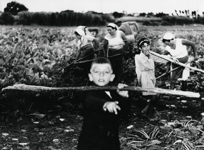 La vita Dall'Origine - foto in bianco e nero di un bambino che tiene in mano un lungo bastone e dietro di lui ci sono delle donne in un campo di grano