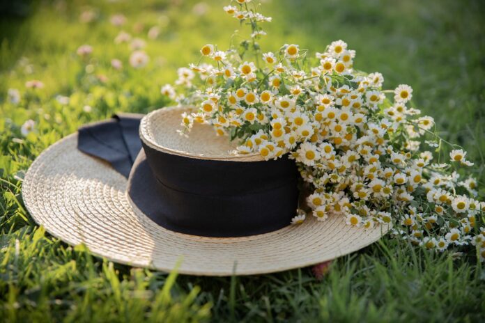 un capello bianco e blu pieno di fiori di camonilla appoggiato su un tavolo in un prato