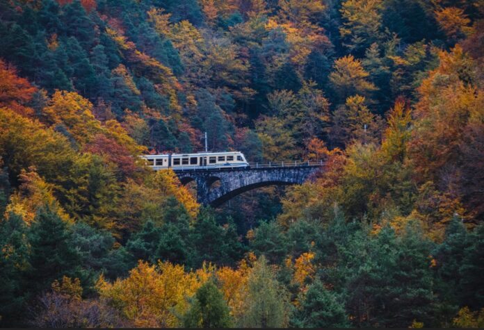 il trenino delle cento valli in una immagine su un ponte con dietro il panorama delle montagne durante il foliage