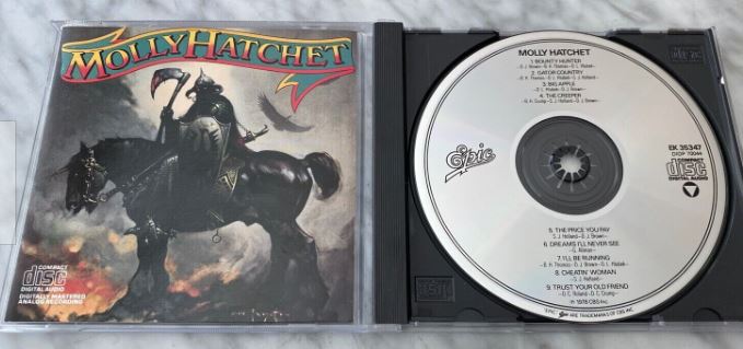 molly hatchet - la copertina del primo album, che raffigura un cavaliere vichingo