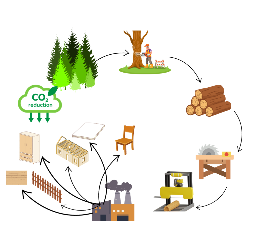 boschi  certificati FSC e PEFC e prodotti: nella foto si spiega la catena di produzione dalla foresta all'albero tagliato ai tronchi alla segheria, alla fabbrica e ai prodotti finiti di legno quali sedia, tetto per la casa, foglio di carta pannelli e staccionate