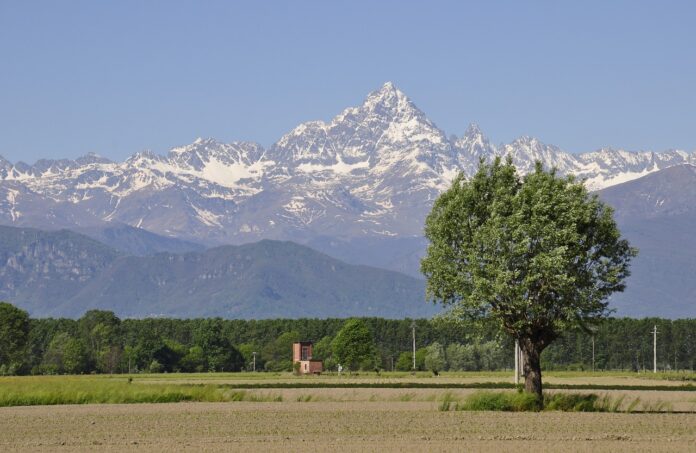 Il monte Monviso con la cima innevata e davanti la pianura con boschi sullo sfondo e un albero in primo piano