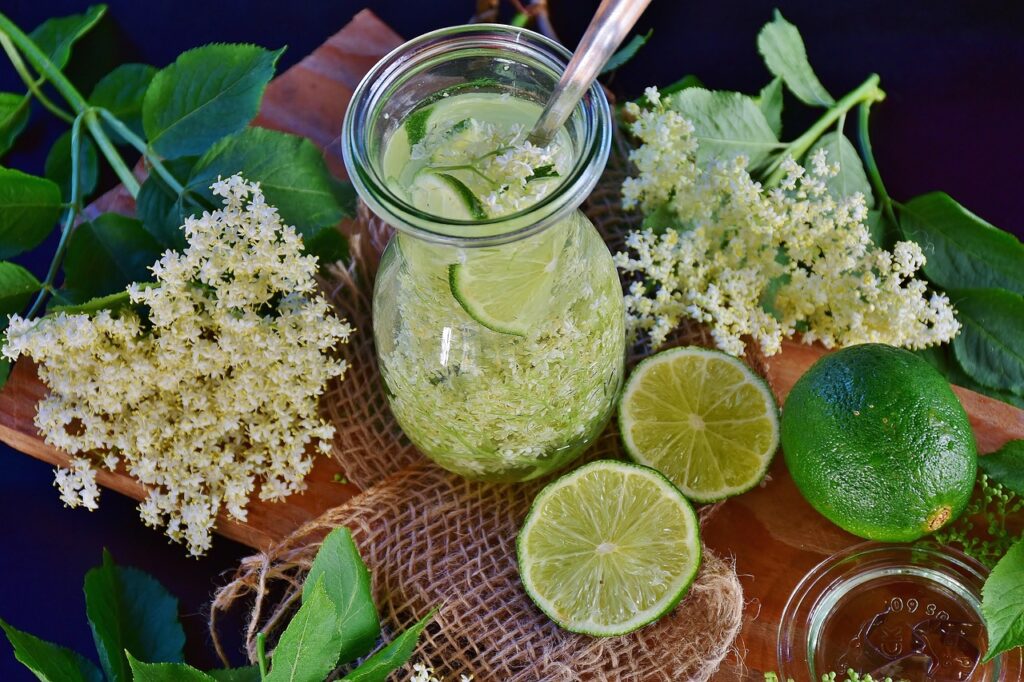 infudo con il sambuco una caraffa di vetro con fiori e piante intorno