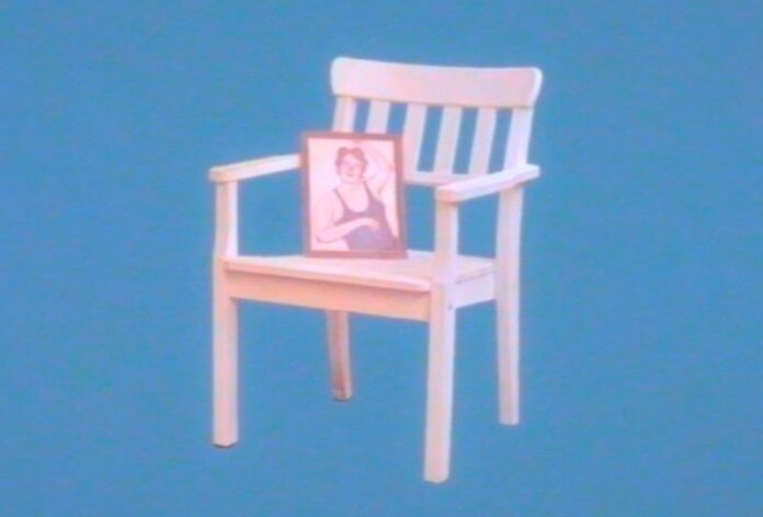 volpe - una sedia di legno rosa con appoggiata sulla seduta un portafotofìgrafie