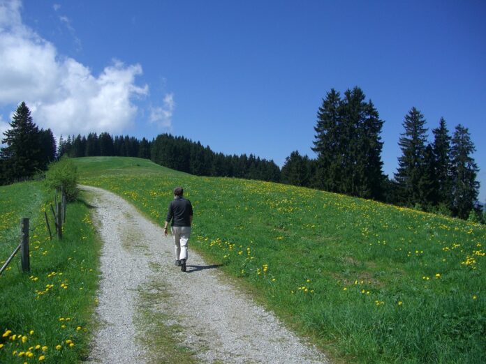 Cammini religiosi - un ragazzo di schiena cammina su un sentiero di montagna