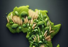 Sviluppo Sostenibile e transizione agroalimentare in Africa - nella foto l'africa disegnata con allìinterno spighe di grano, piate verdi e cactus