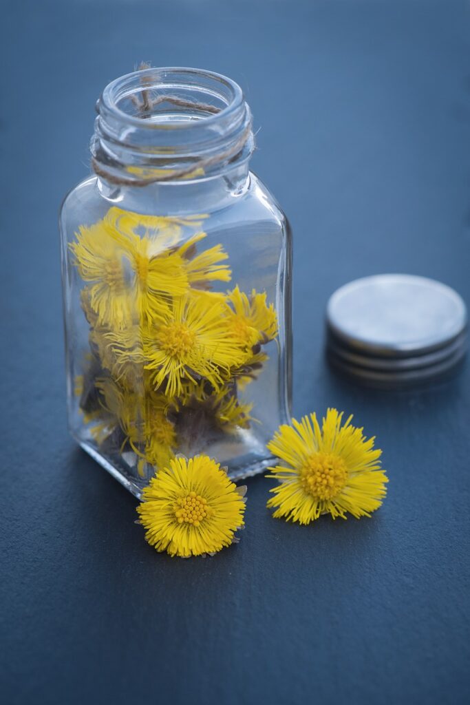 fiori di farfaro dentro un barattolo di vetro con fondo azzurro