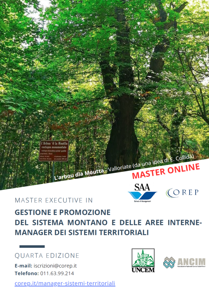 Master executive la locandina con un albero grande verde