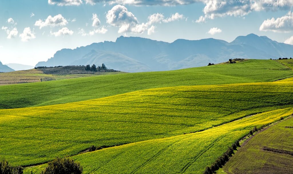 la natura - campi verdi con sullo sfondo delle montagne
