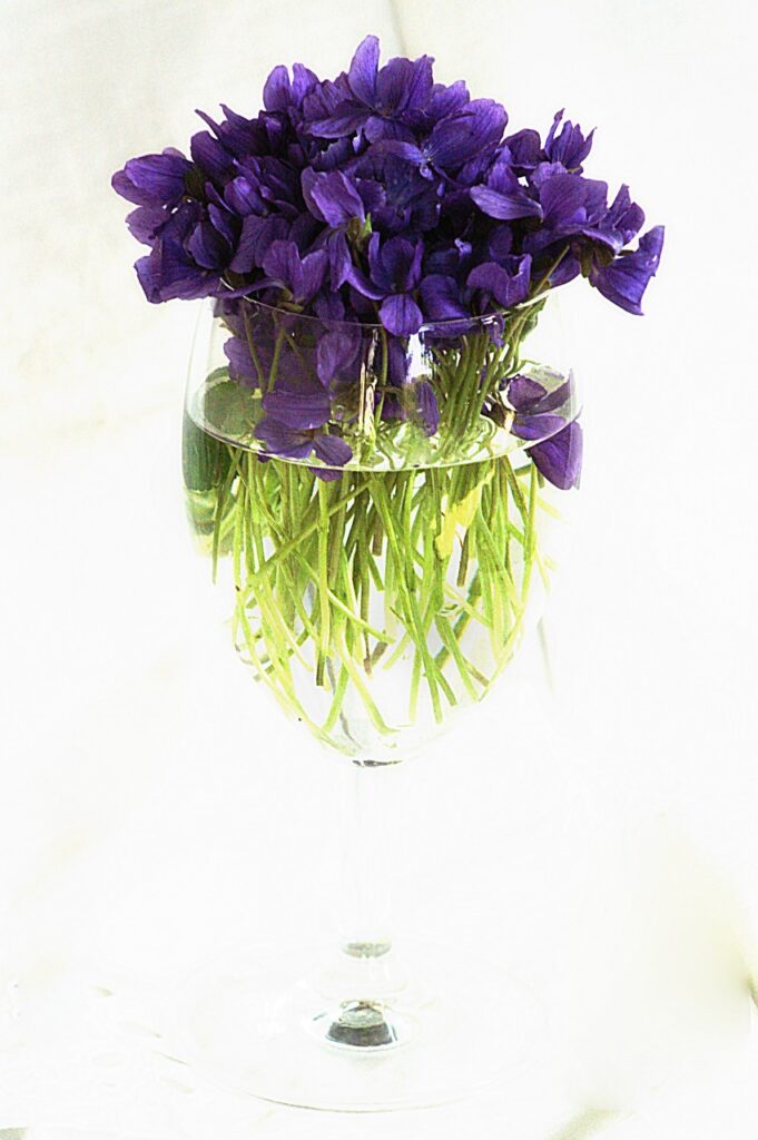 mazzo di violette in un vaso trasparente